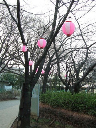 c0044199_0543539.jpg