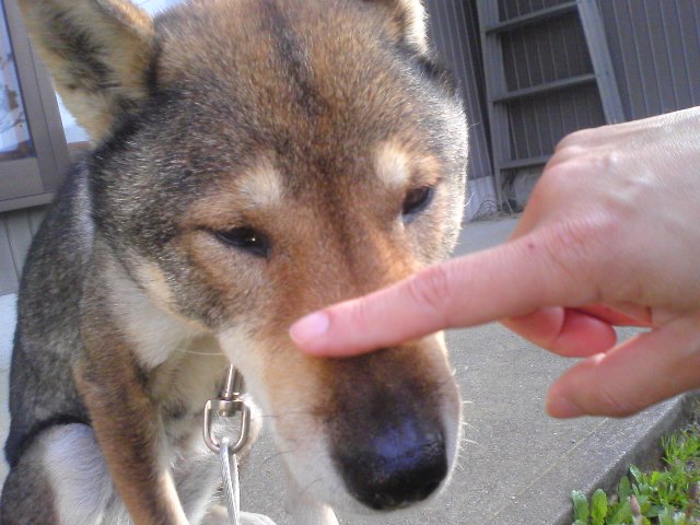 f0079202_2303050.jpg