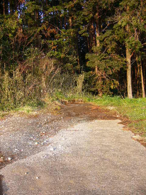 e0015108_021027.jpg