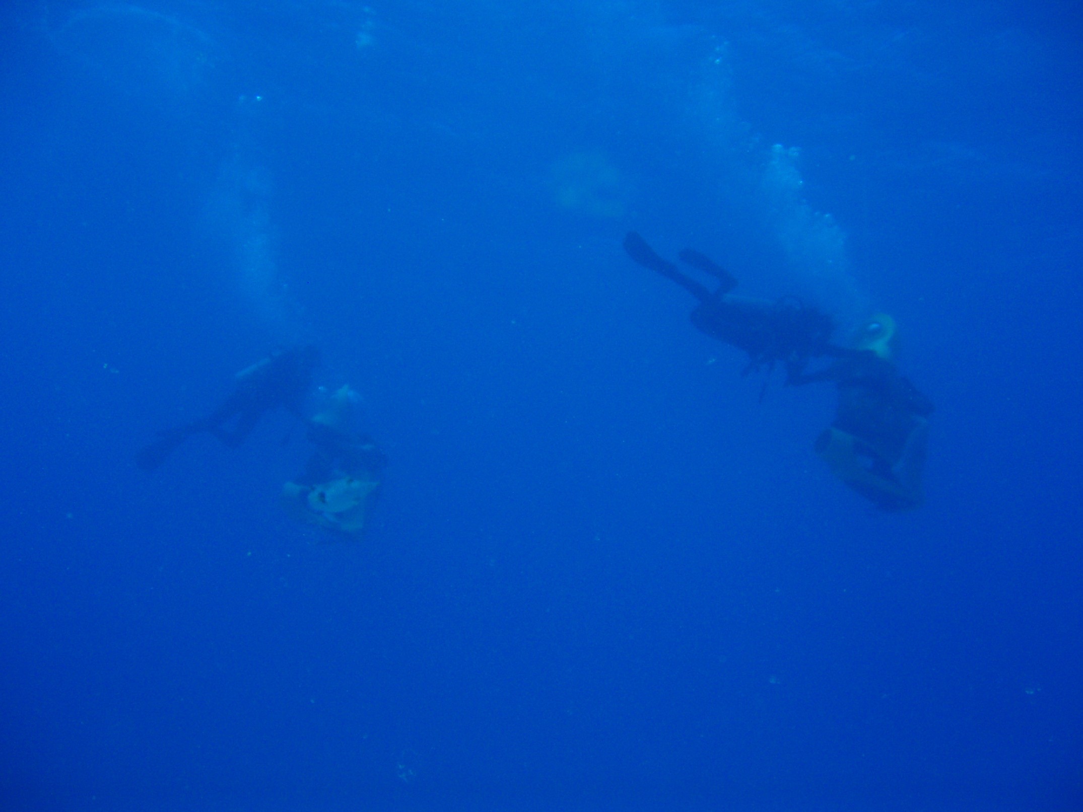 f0036409_9351464.jpg
