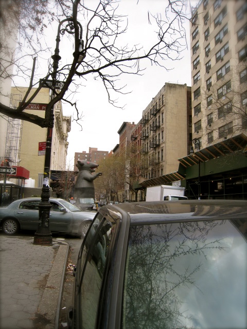 c0120817_8535069.jpg