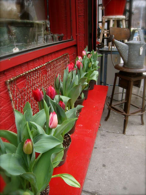 c0120817_925440.jpg