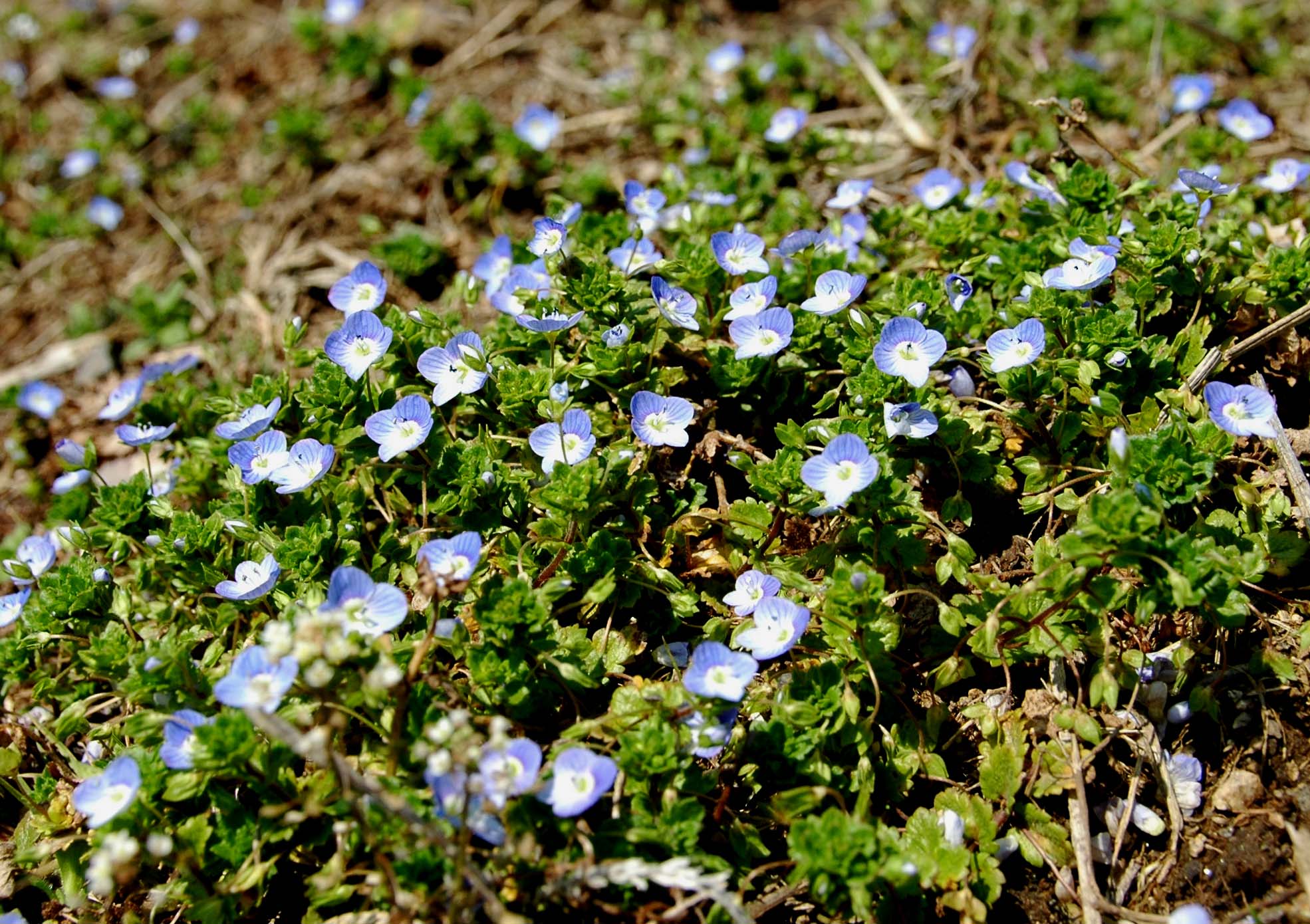 d0080118_22581314.jpg