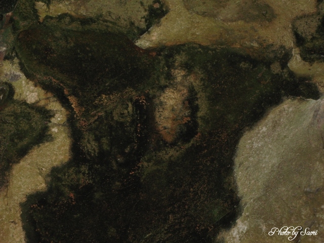 c0157624_847930.jpg