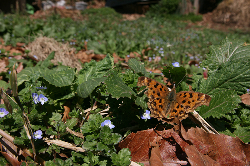d0054625_23242898.jpg