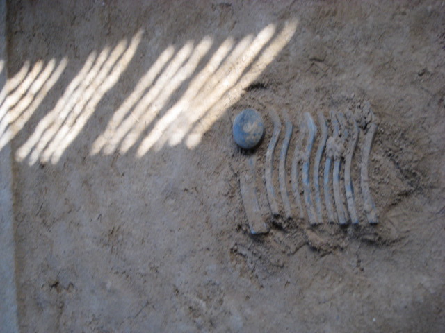 d0147727_22445432.jpg