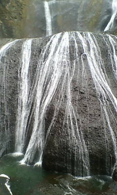 d0106440_228654.jpg