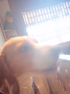 c0119142_23275346.jpg