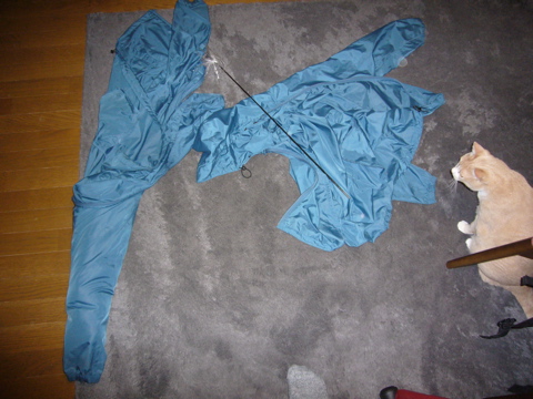 e0058443_0435261.jpg