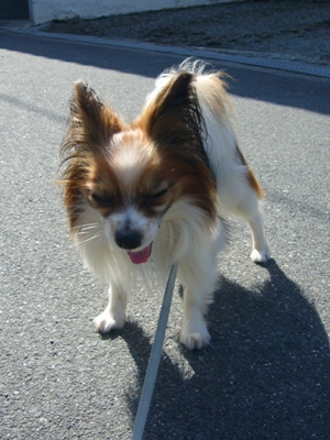 e0100046_16145987.jpg