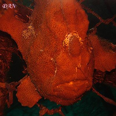 e0027447_2349979.jpg