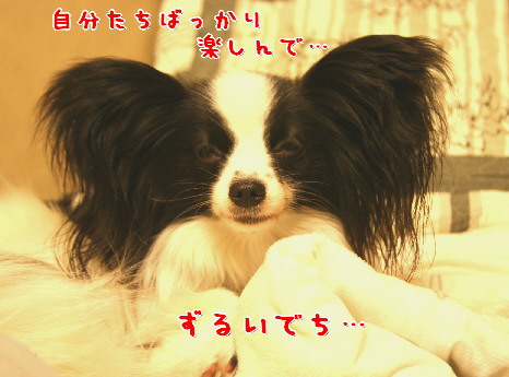 d0013149_1321948.jpg