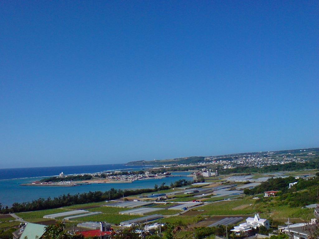 e0050449_17433041.jpg
