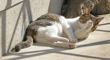 a0001354_23405932.jpg