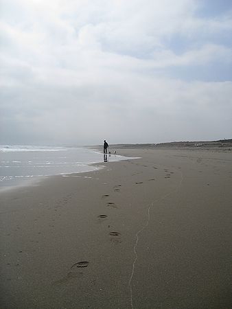 c0074156_2213859.jpg