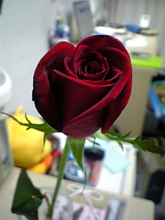 f0043656_7224690.jpg