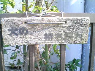a0035759_21412125.jpg
