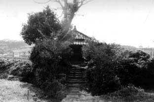 e0018762_17235489.jpg