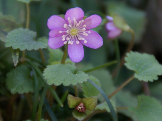 a0091666_21161375.jpg