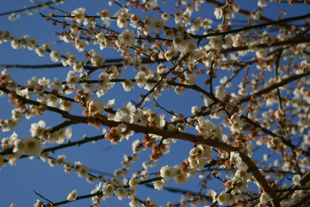 c0032567_22154730.jpg