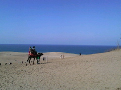 d0056768_15492770.jpg