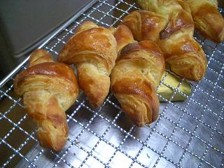 e0125471_15052.jpg