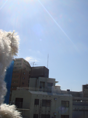 b0091373_1313695.jpg