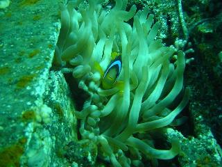 a0085574_2572310.jpg