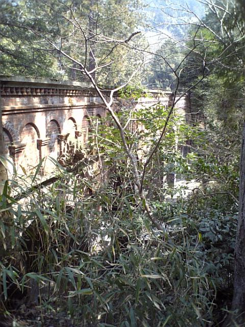 c0124776_2152516.jpg