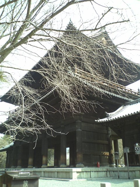 c0124776_6352373.jpg