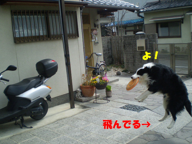 e0117976_22214778.jpg
