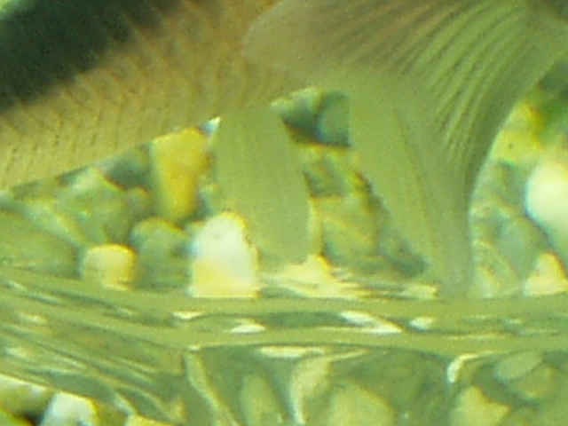 c0102086_16341567.jpg