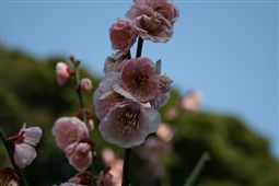 b0003089_20431950.jpg