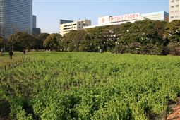 b0003089_20442740.jpg