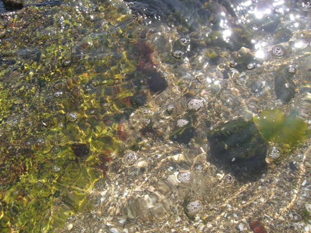 f0151094_22248.jpg