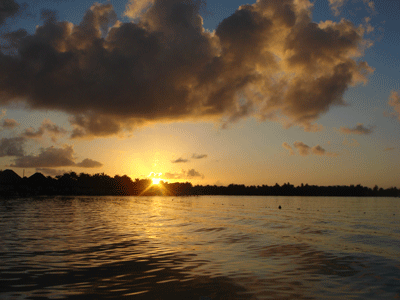 e0112098_1734024.gif
