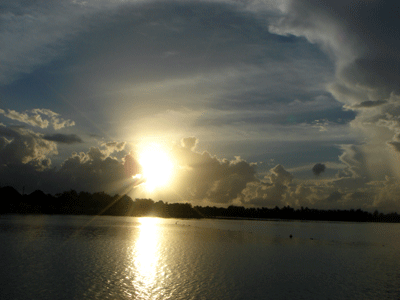 e0112098_174169.gif