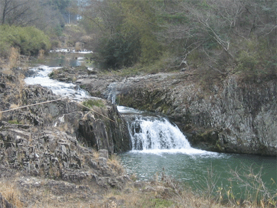 b0108100_2132123.gif