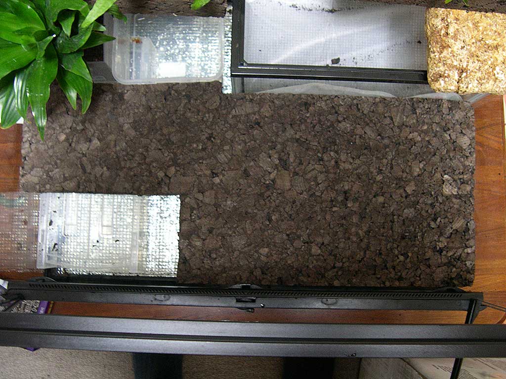 e0049101_127571.jpg
