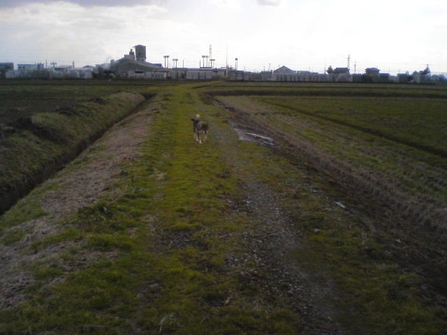 f0079202_20283252.jpg
