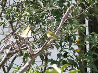 c0036203_20551823.jpg