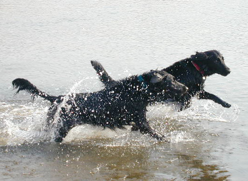 c0012120_21525566.jpg