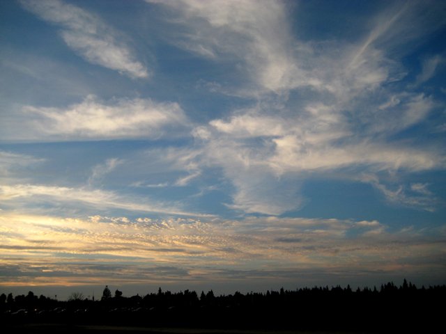 c0129024_533813.jpg