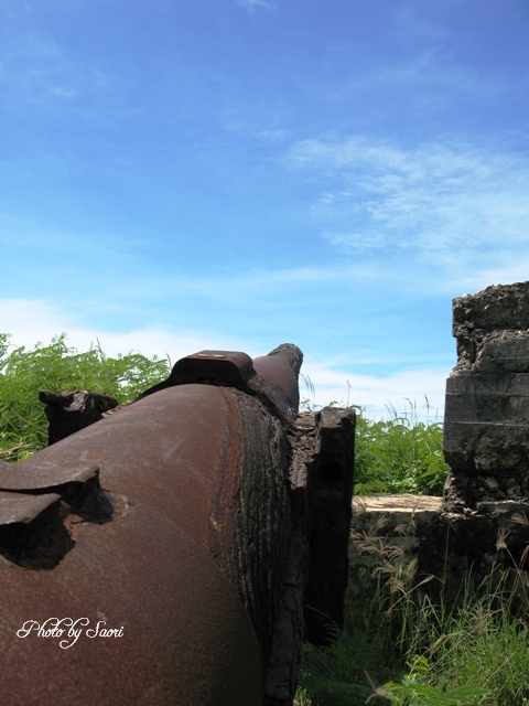 c0157624_13405855.jpg