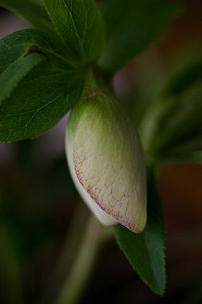 c0093830_2231851.jpg