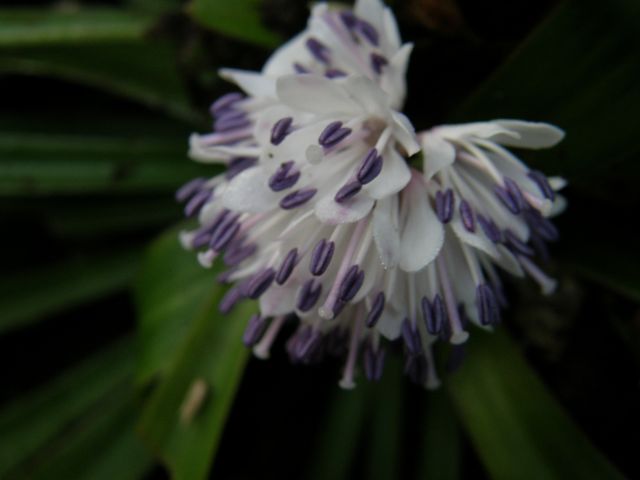 e0145033_20249100.jpg