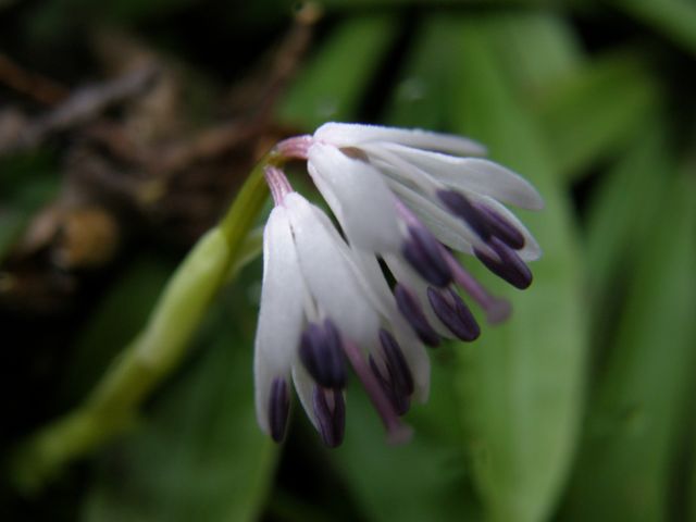 e0145033_203549.jpg