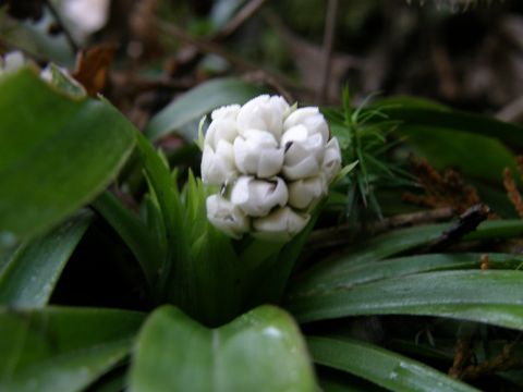 e0145033_2045036.jpg