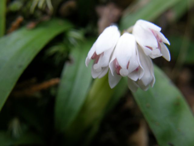 e0145033_205542.jpg