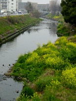 e0127935_8173483.jpg